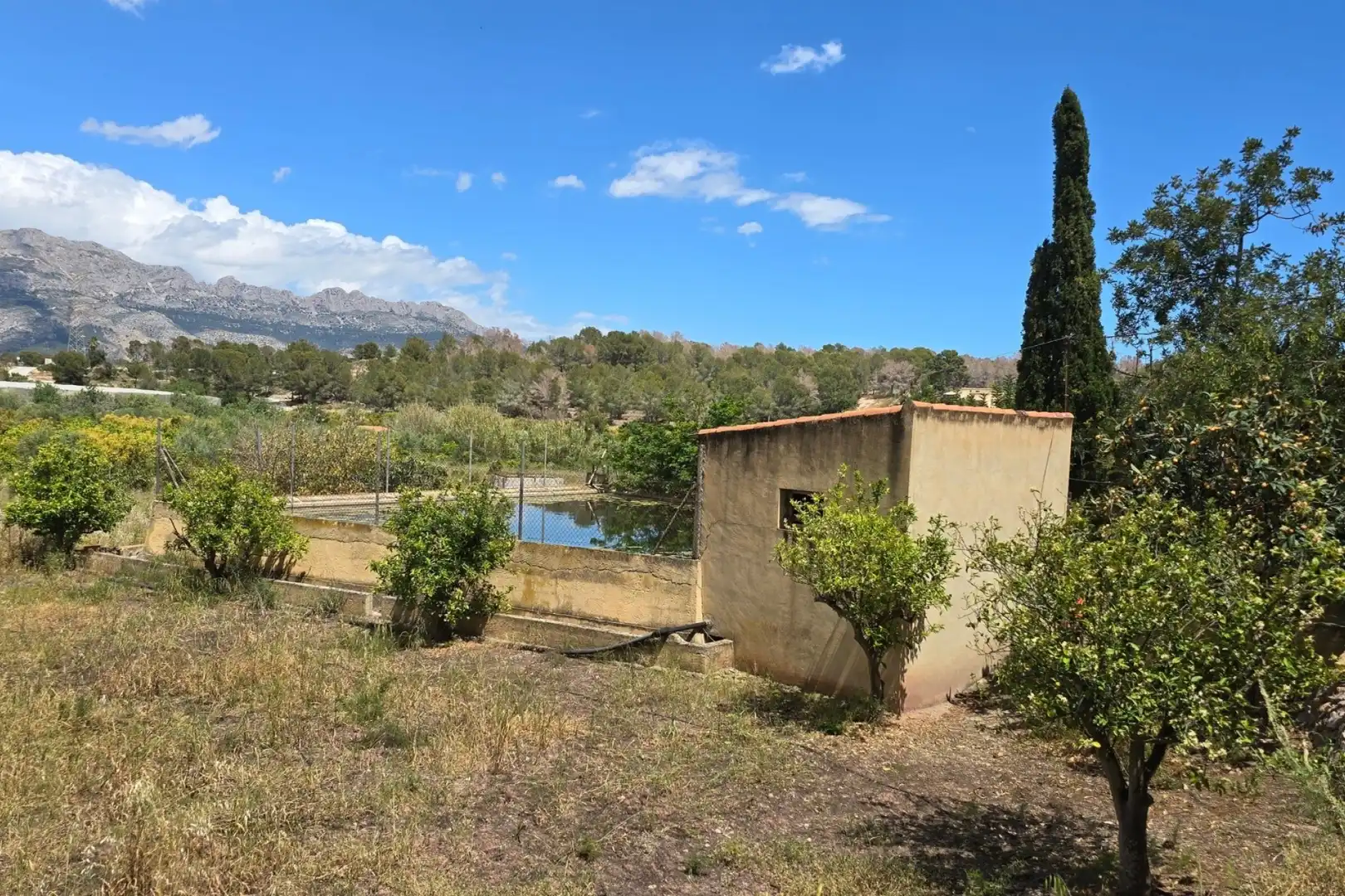 Terrenos y solares en venta en Escandinavia - Cautivador, imagen 3