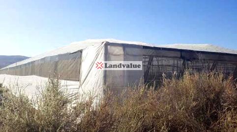 Photo 4 of Land for sale in Los Albacetes. Balsa Blanca, Aguamarga, Níjar