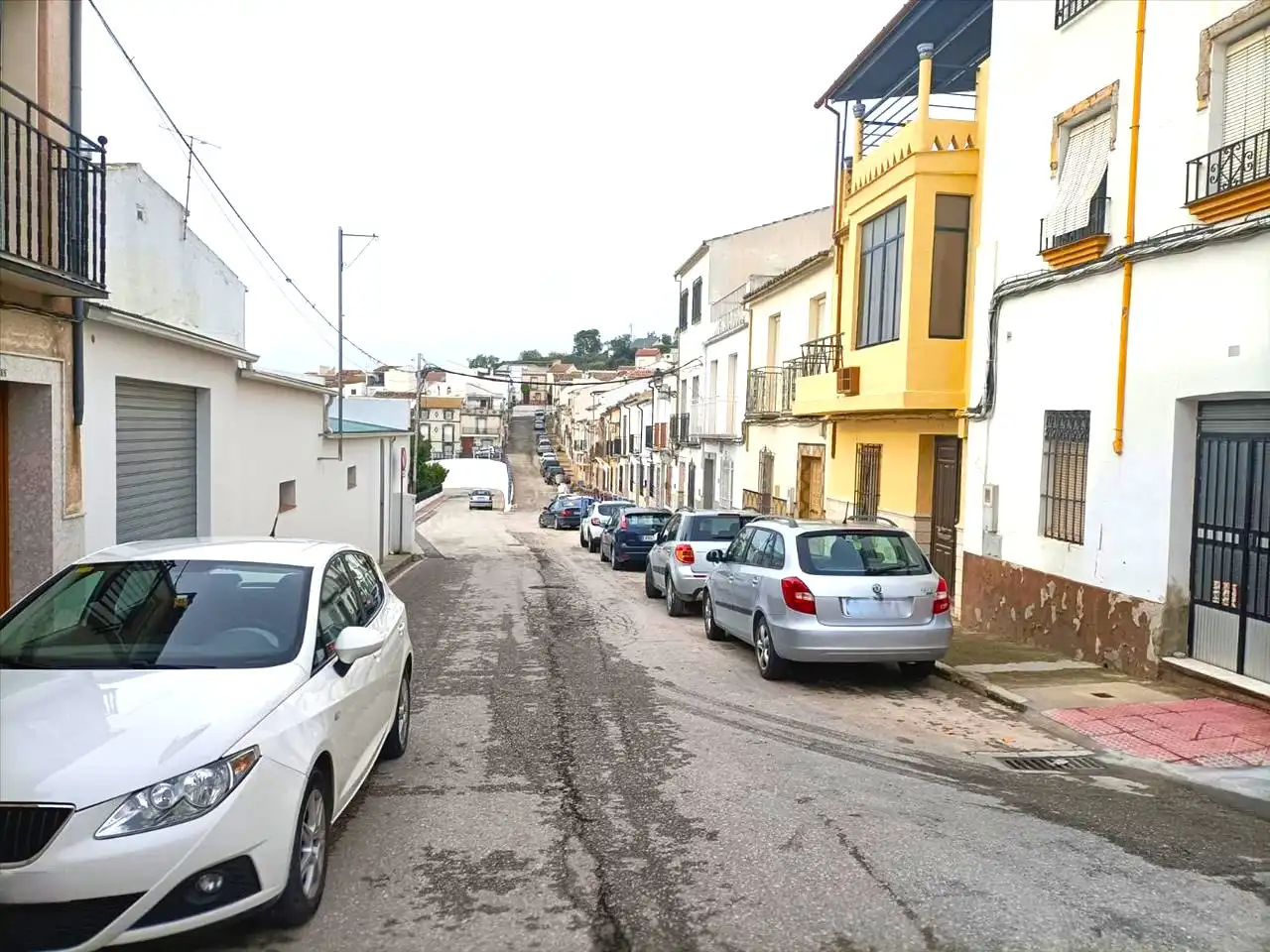 Exterior view of Houses for sale in Rute  with Terrace