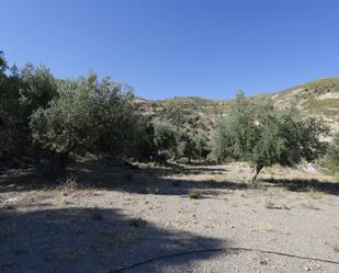 Grundstücke zum verkauf in Alpujarra de la Sierra