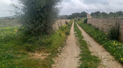 Foto 5 de Terreno en venta en Felanitx Poble, Felanitx