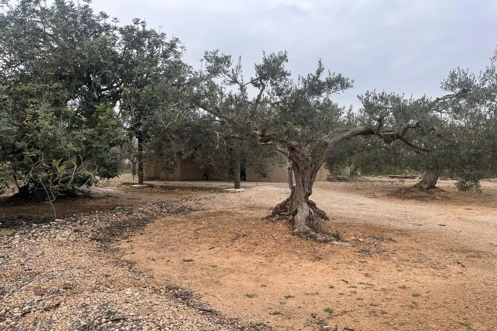 Finca rústica en venta en L'Ampolla con Terraza