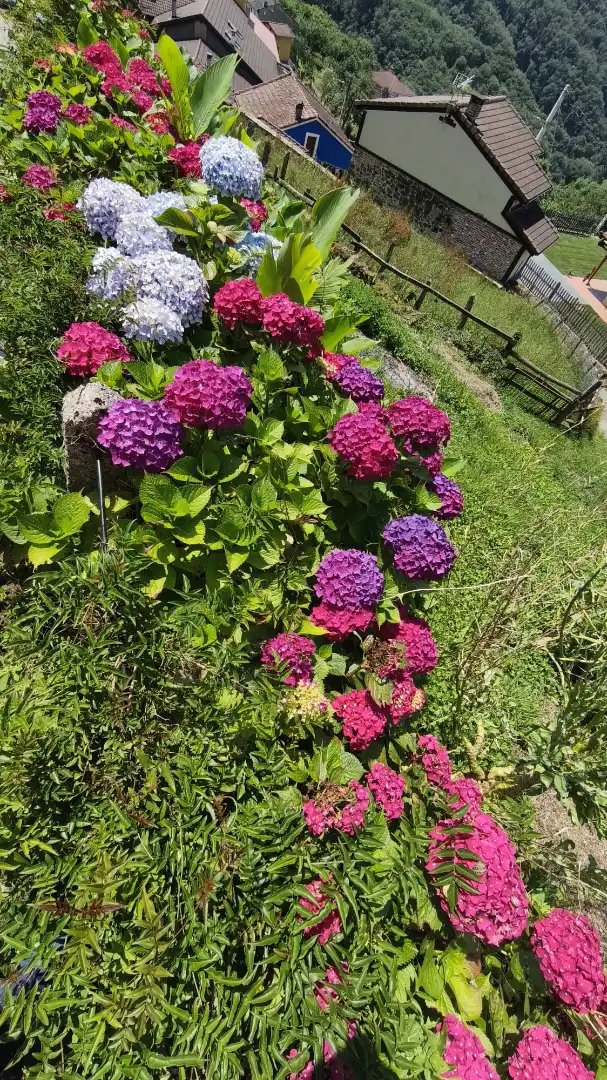 Jardí de Casa o xalet en venda en Mieres (Asturias) amb Jardí privat, Terrassa i Traster