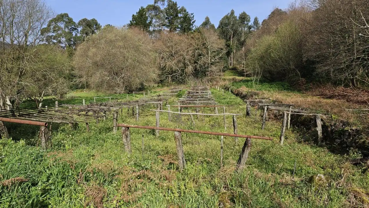 Casa rústica en venda a Parroquias Rurales, imagen 6