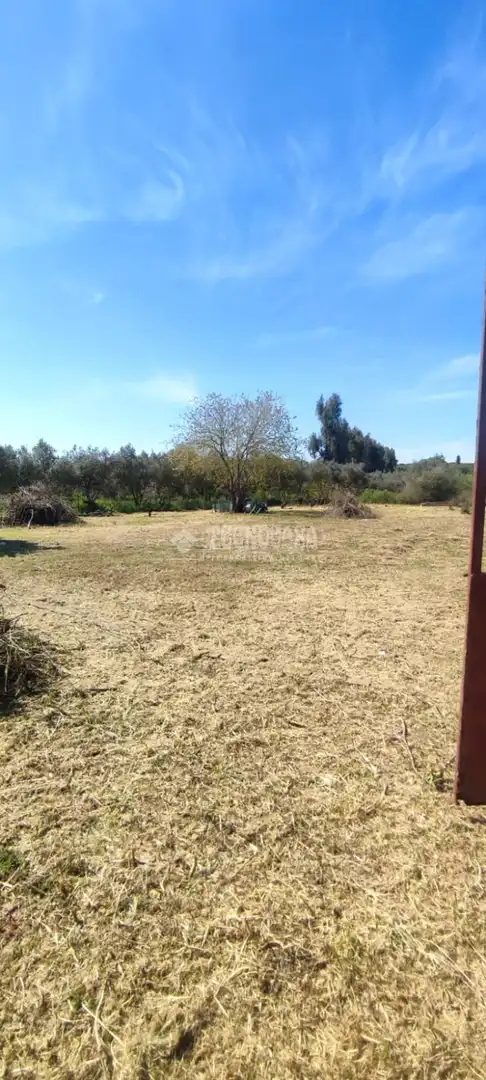 Terreno en venta en Alcalá de Guadaira