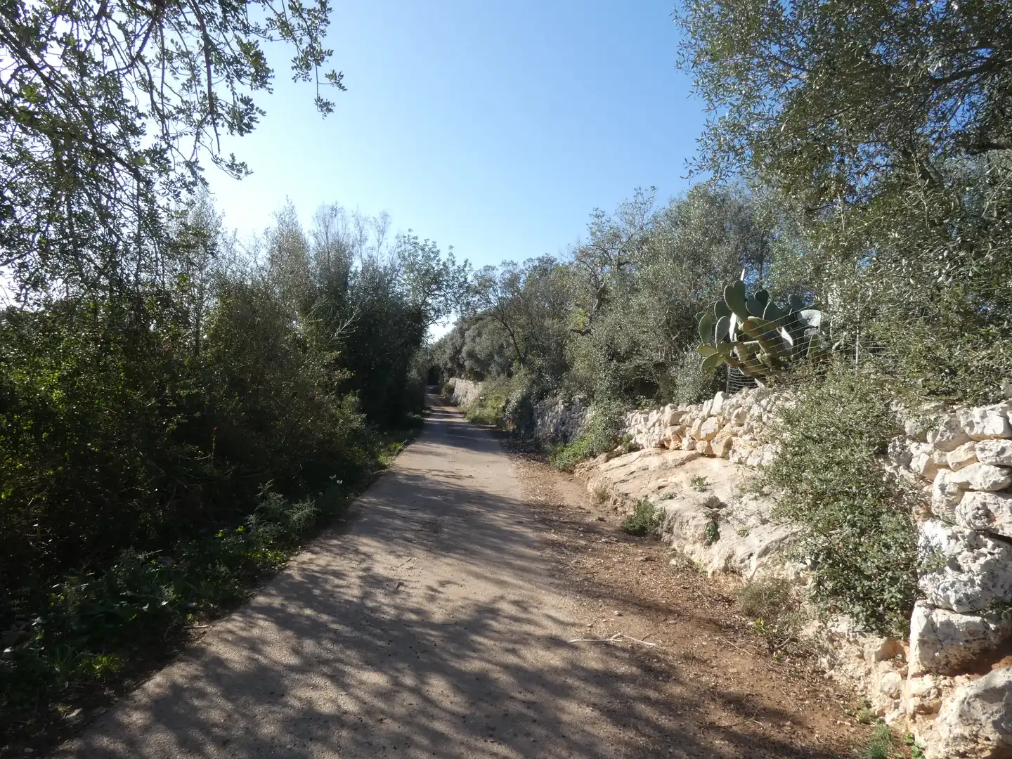 Residential land for sale in Sineu, imagen 12