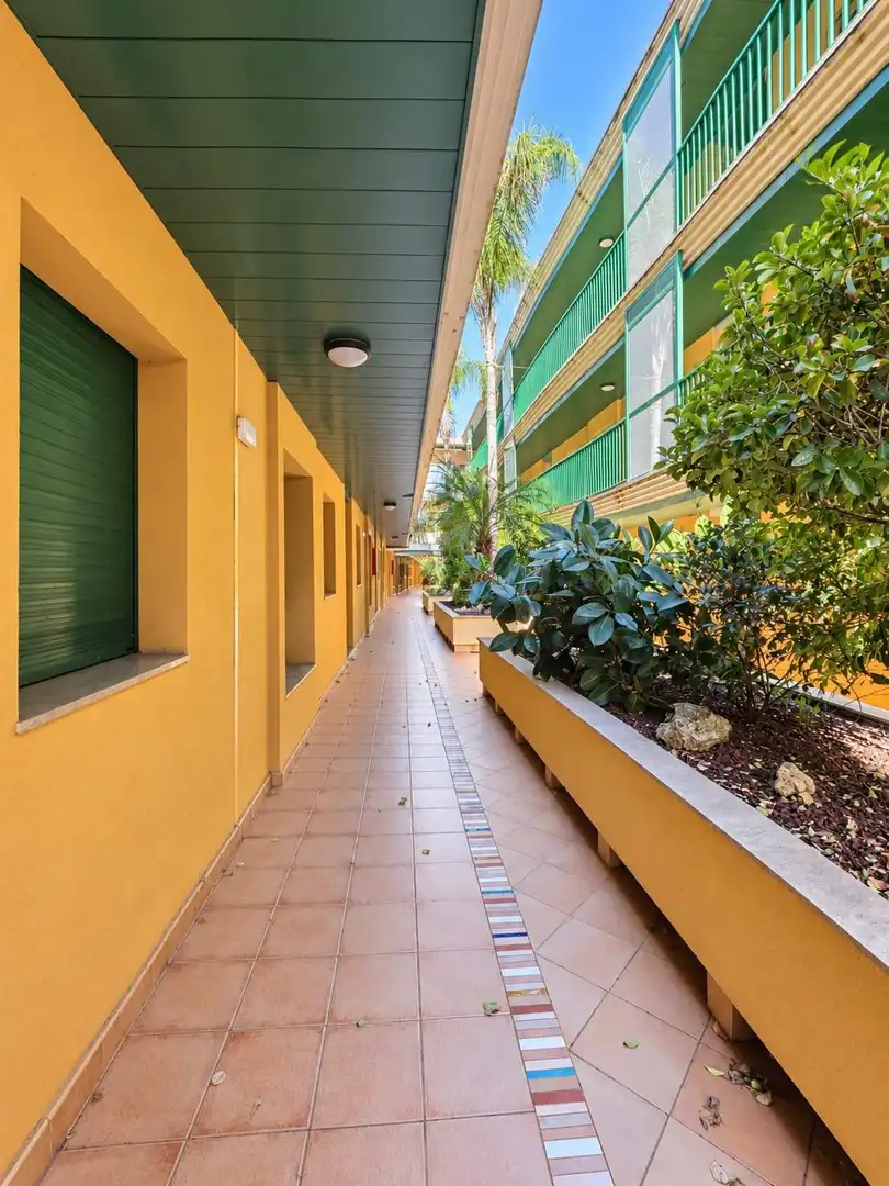 Appartement compact avec jardin à vendre à Calle EUCALIPTUS, imagen 41