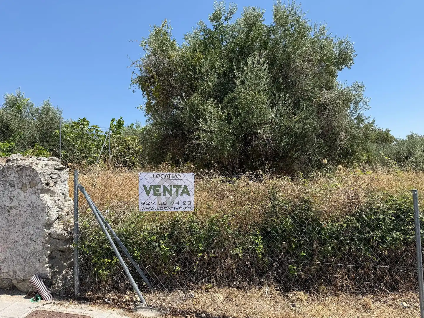 Terreni e lotti in vendita a Candeleda, imagen 2