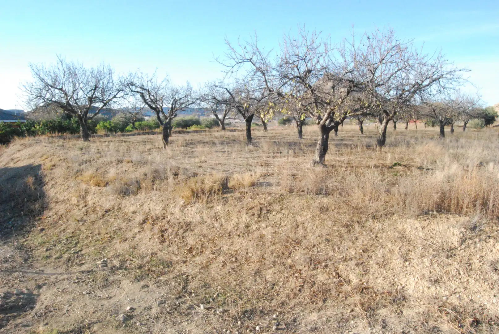 Houses for sale in Alicante / Alacant  with Air Conditioner, Terrace and Storage room