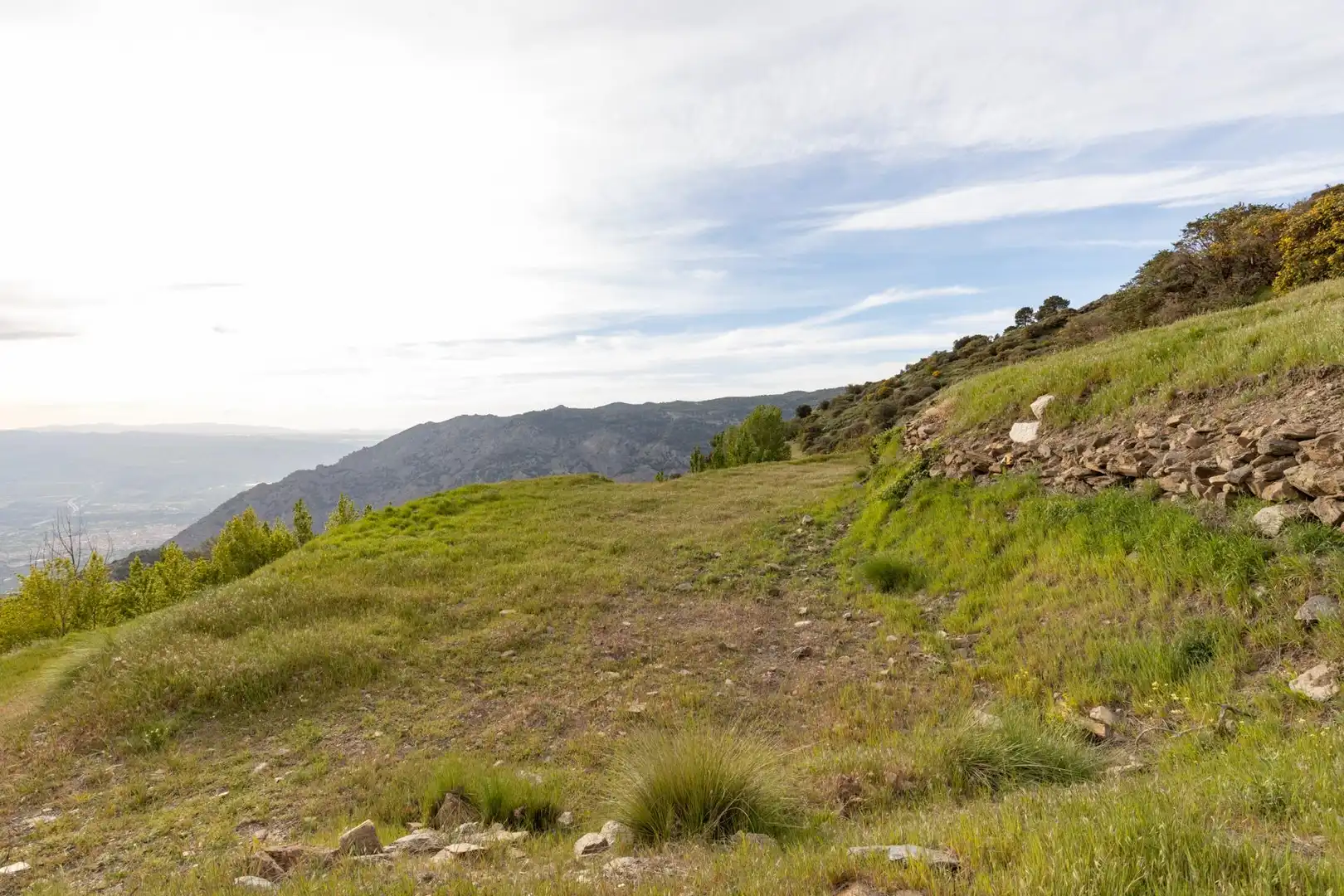 Finca rústica en venta en Nigüelas con Amueblado