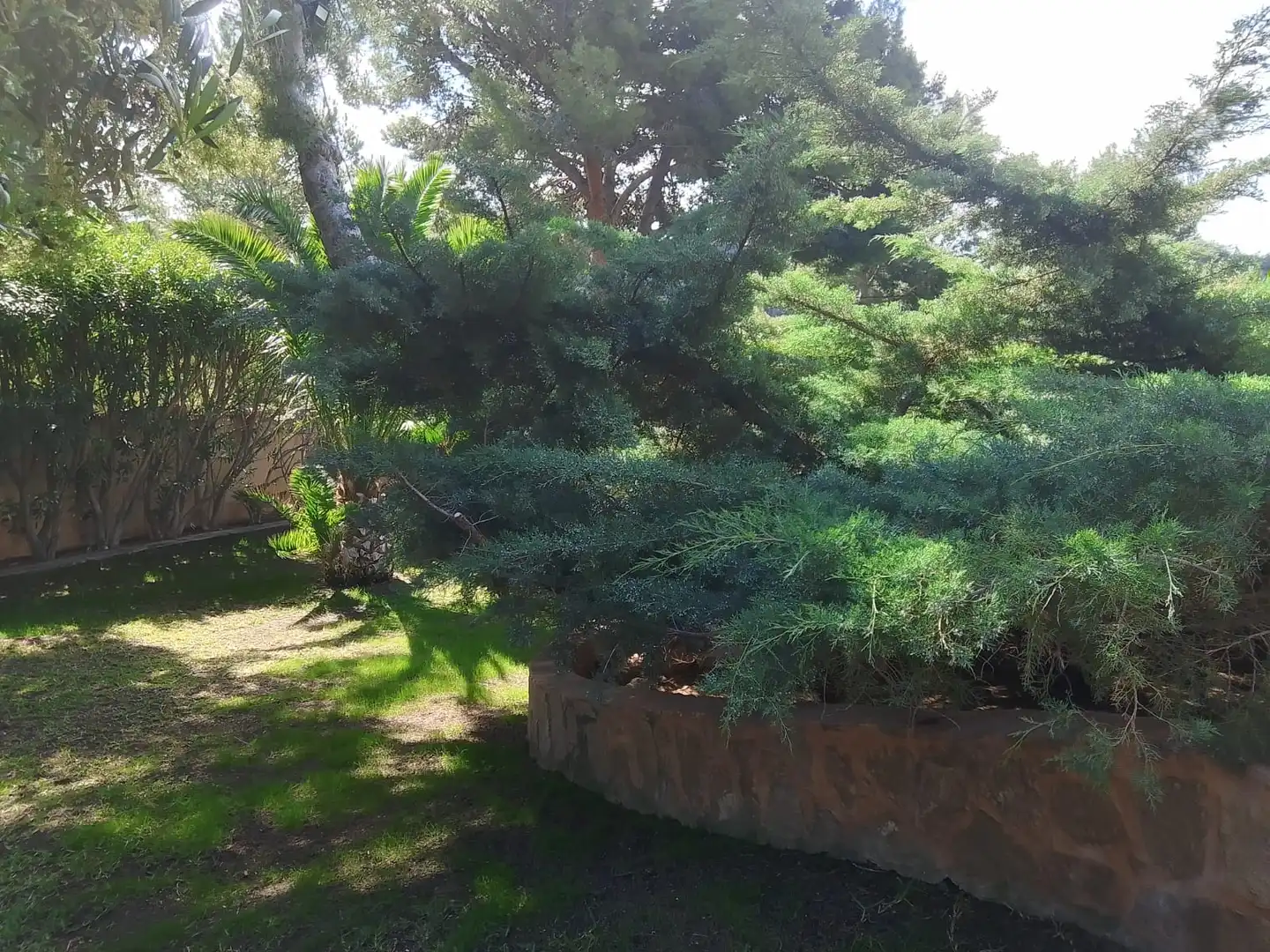 Jardí de Casa o xalet en venda en Tibi amb Aire condicionat, Jardí privat i Parquet
