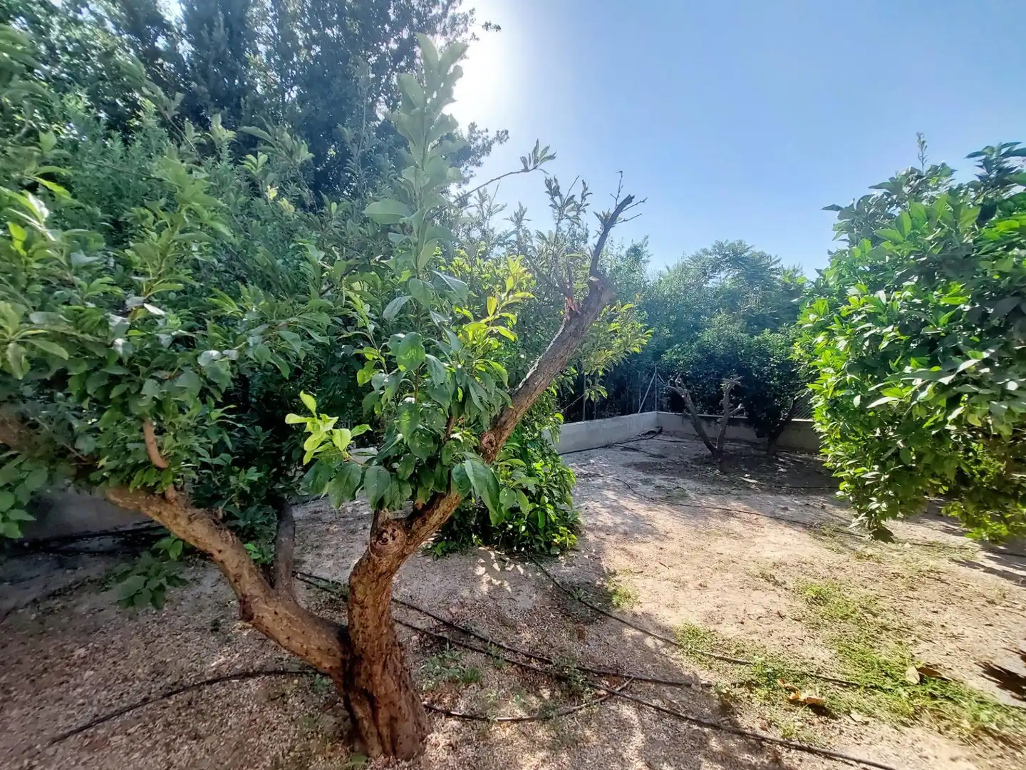Country house zum Verkauf in Murcia mit Heizung, Privatgarten und Möbliert