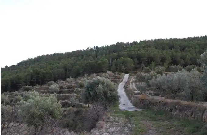 Rural land for sale in Torremanzanas / La Torre de les Maçanes, imagen 22