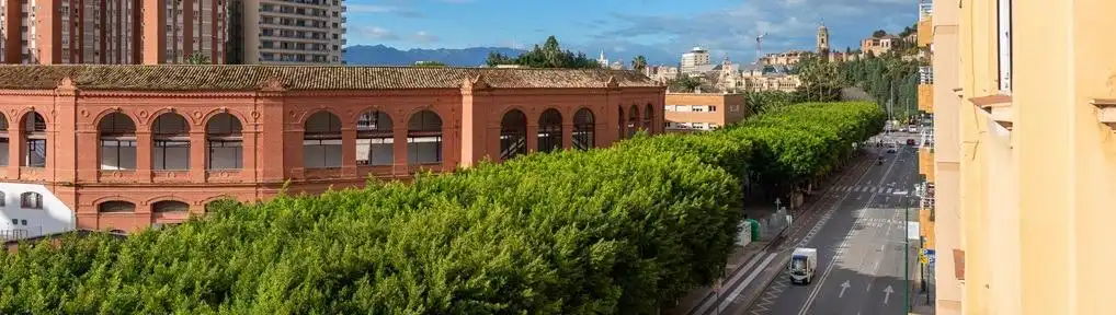 Vista exterior de Pis en venda en Málaga amb Terrassa
