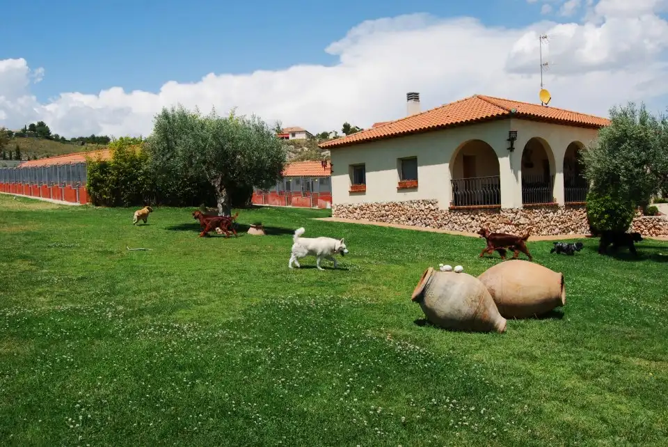 Garden of Land for sale in Rivas-Vaciamadrid