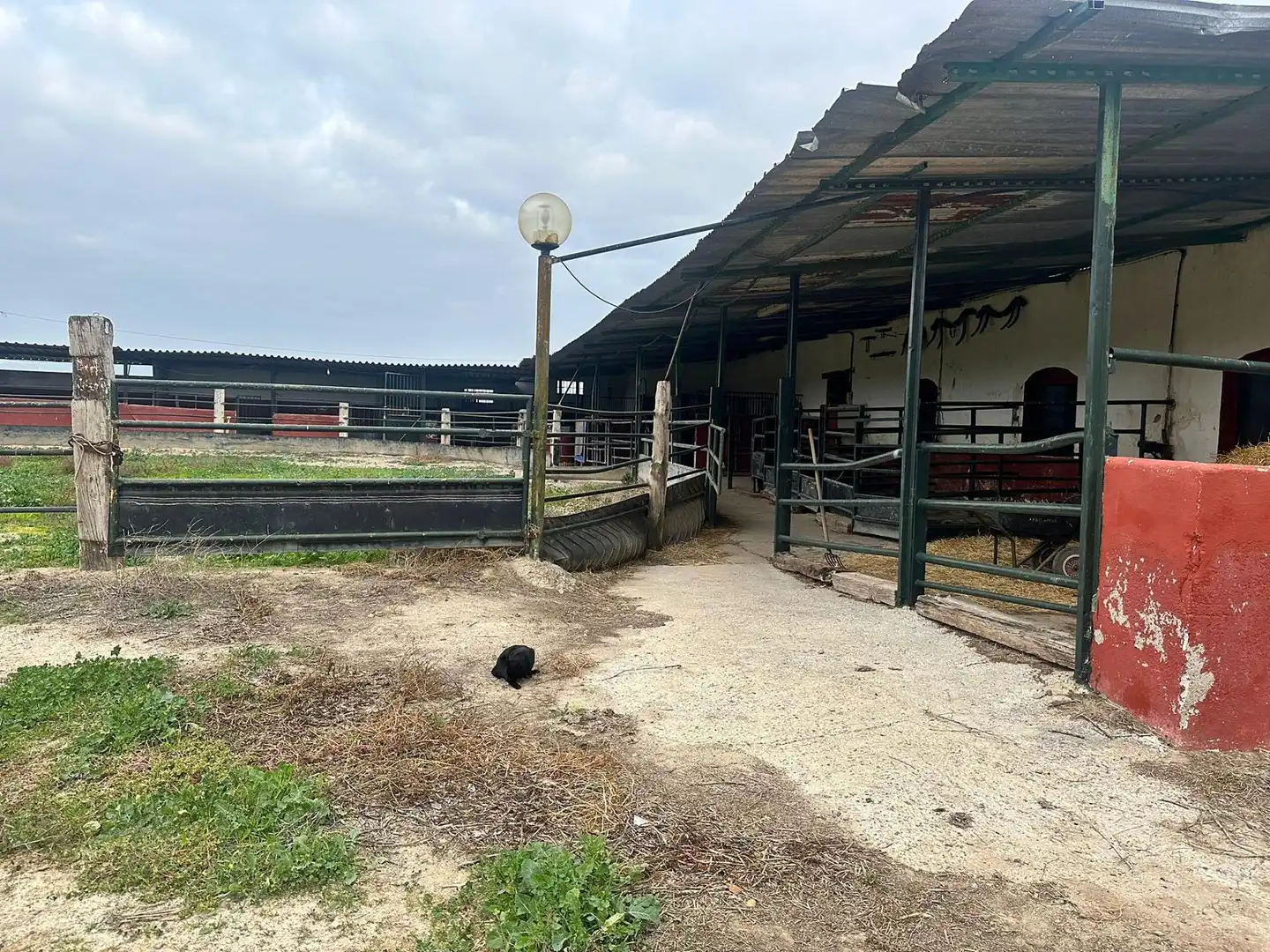 Finca rústica en venda a Villarrubia