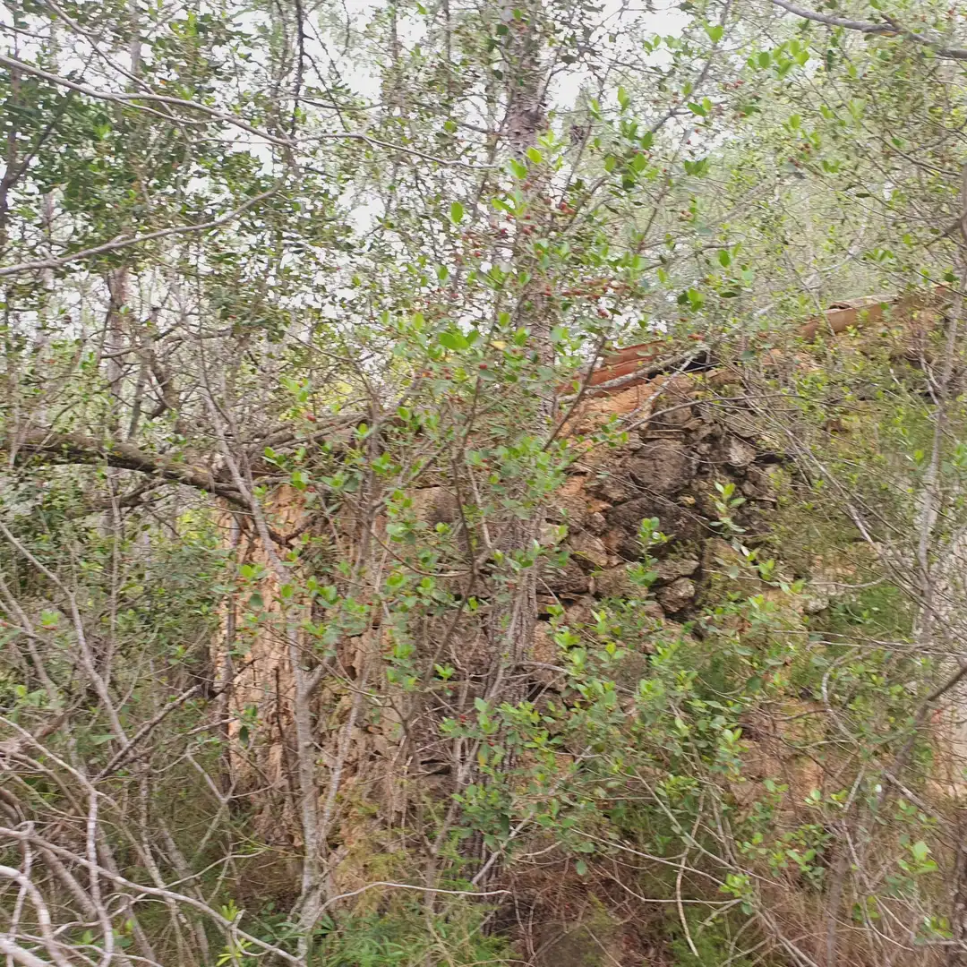 Terrain rustique à vendre à Benifallet, imagen 39