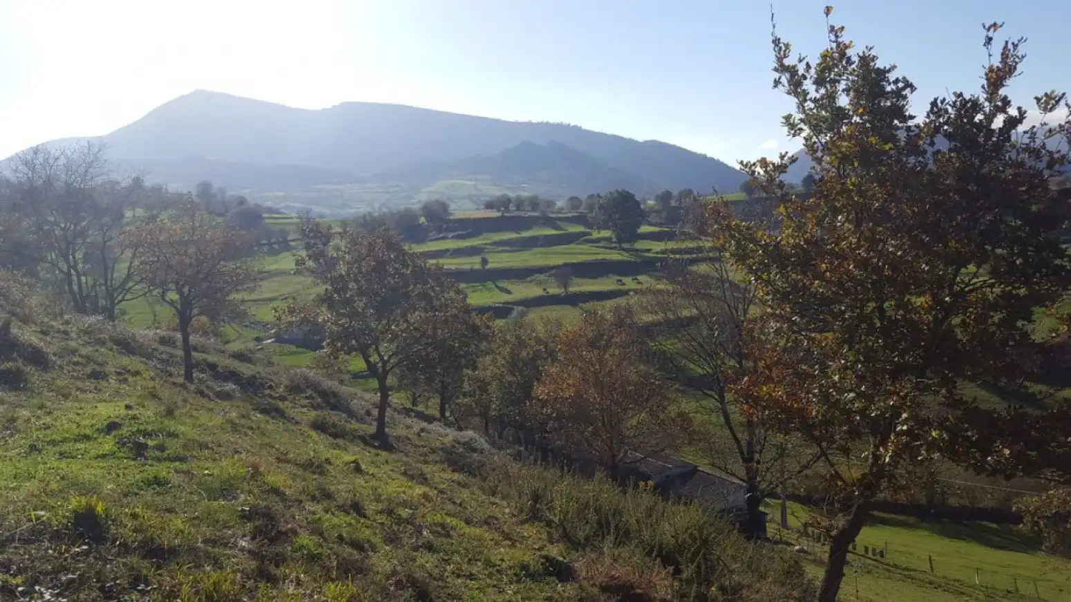 Grundstücke zum Verkauf in Molledo