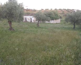 Country house for sale in Mérida