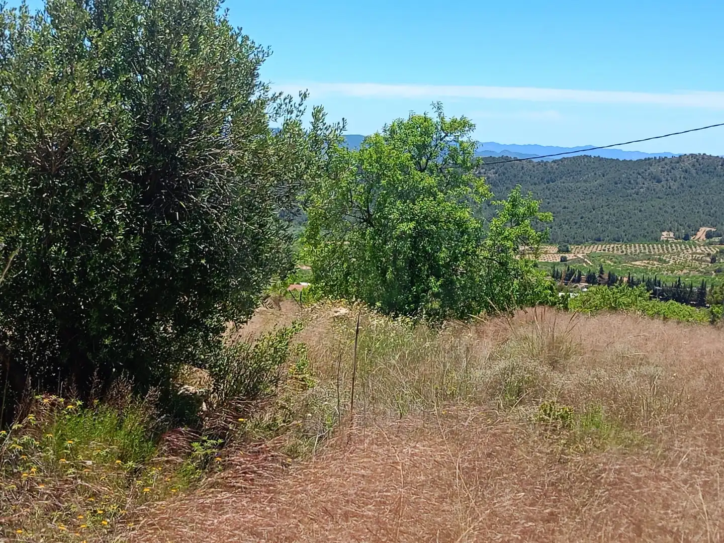 Terreni e lotti in vendita a Pedanías Norte, imagen 5