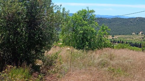 Foto 5 de Terreny en venda a Zarzadilla de Totana, Lorca
