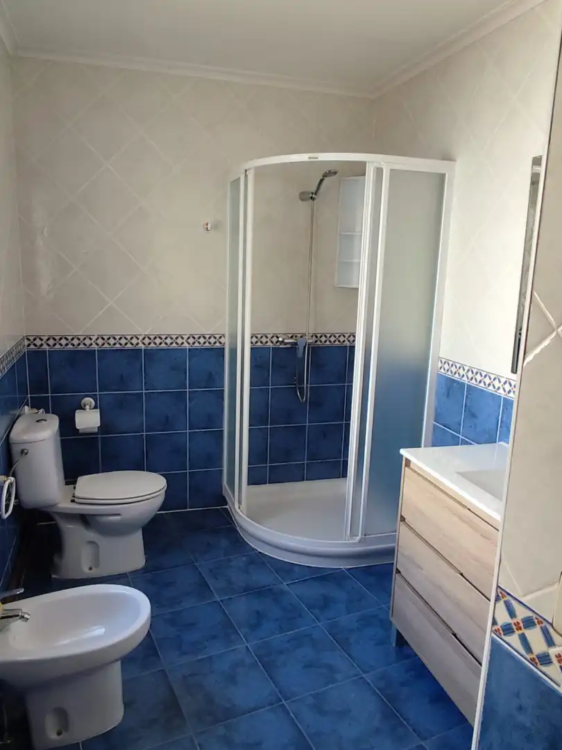 Baño de Casa o chalet en venta en San Miguel del Valle con Amueblado