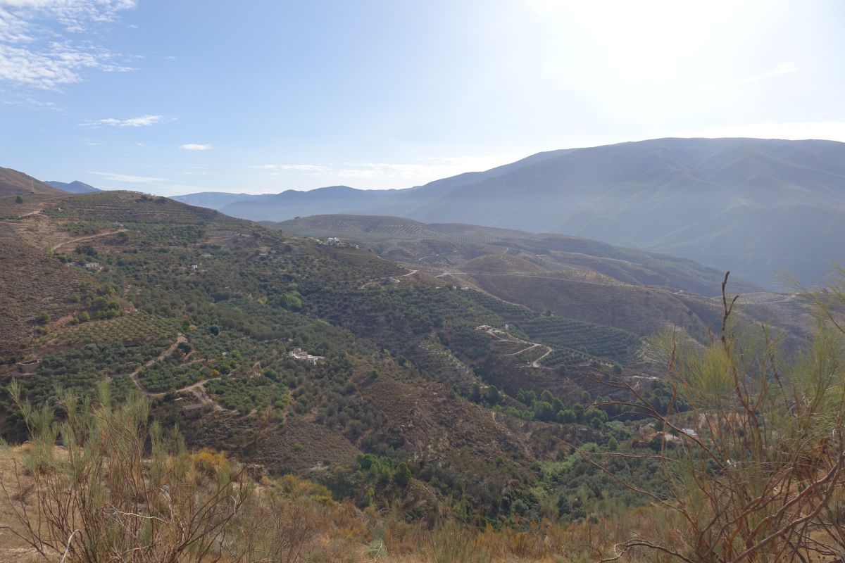 Vista exterior de Finca rústica en venta en Lanjarón
