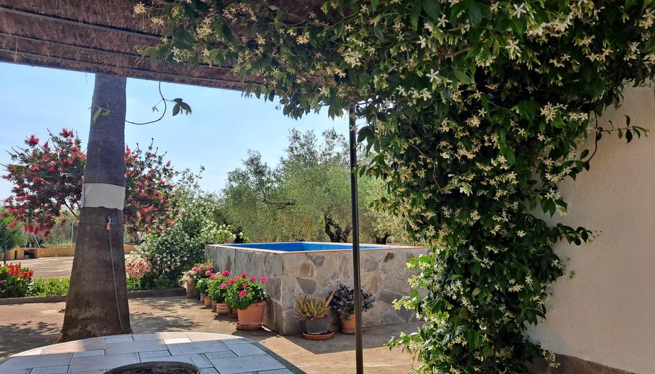 Foto 1 de Finca rústica en venda a Càlig, Castellón