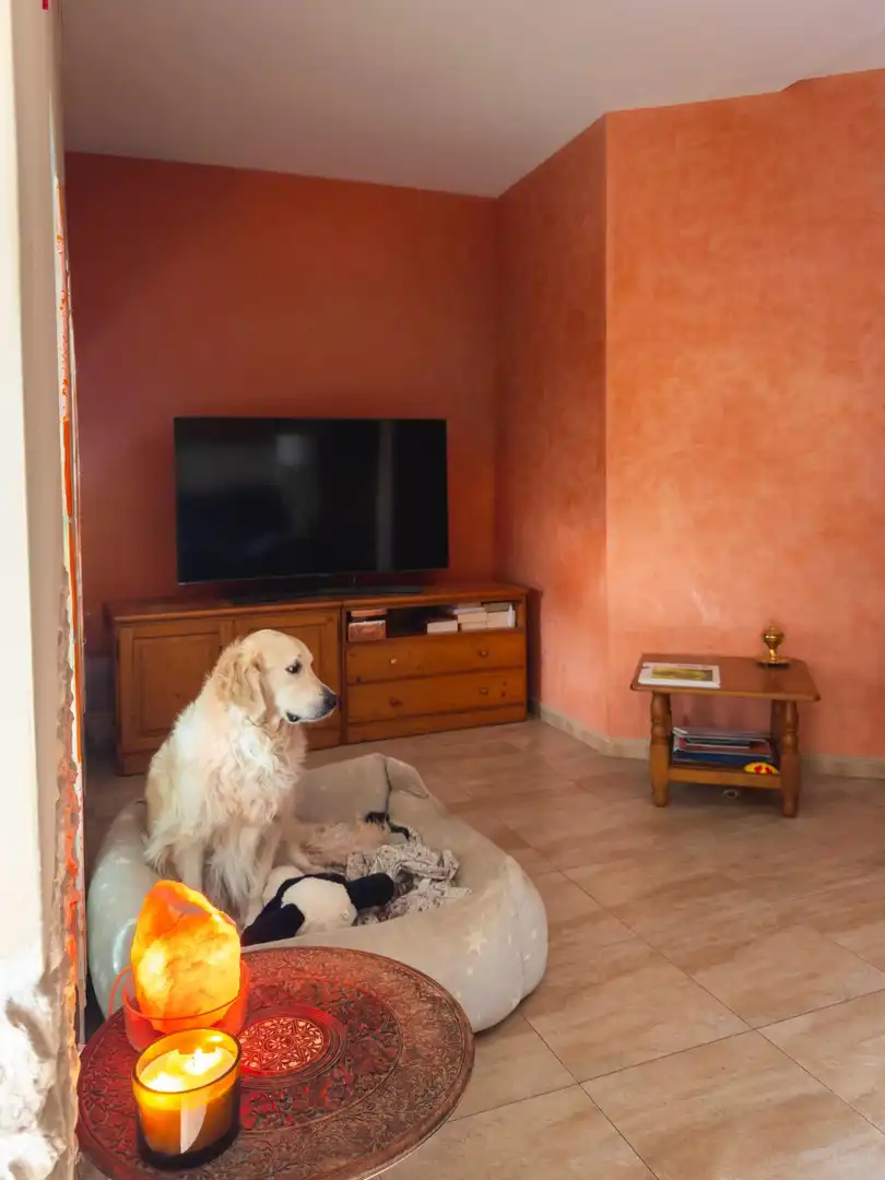 Sala de estar de Casa o chalet en venta en Bocairent con Terraza y Balcón