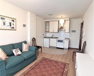 Living room of Apartment to rent in A Coruña Capital   with Storage room and Furnished