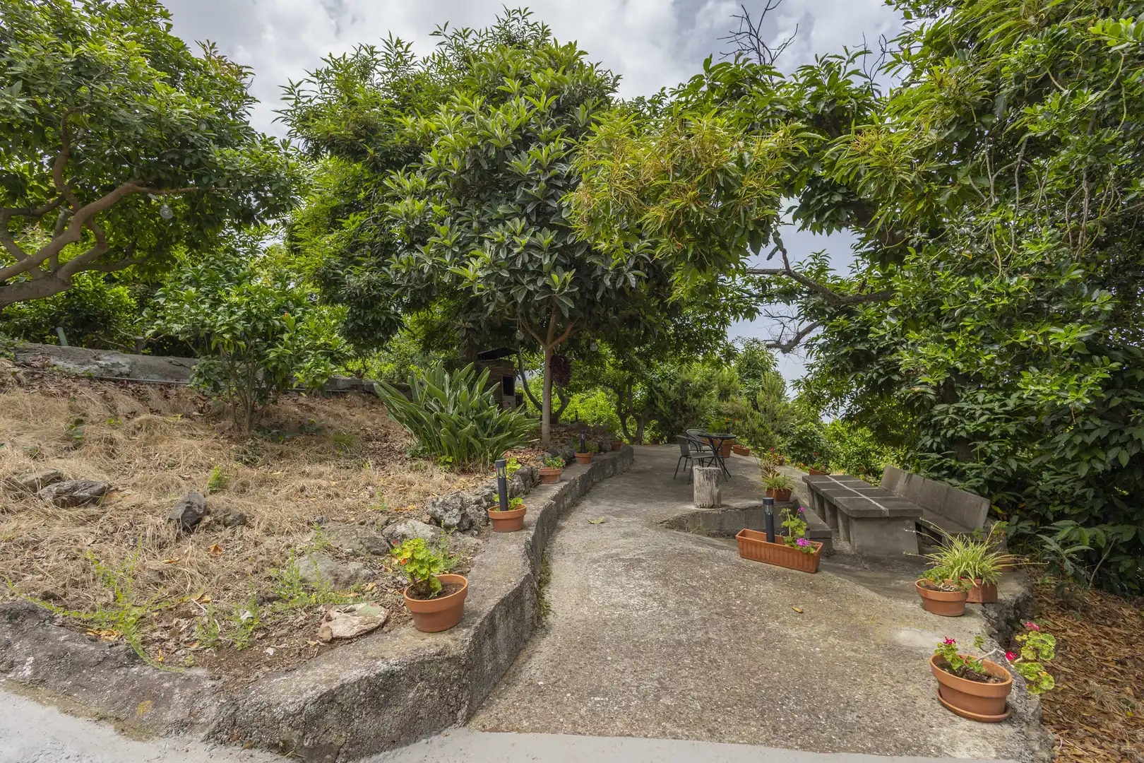 Garden of Houses for sale in La Orotava  with Private garden, Terrace and Storage room