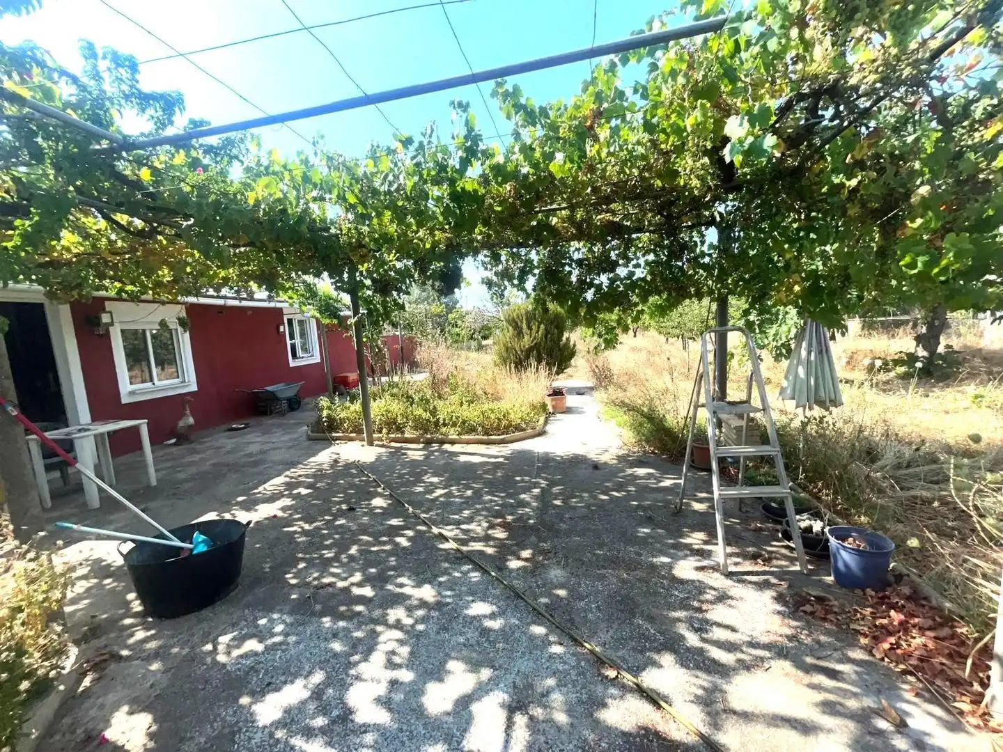 Jardí de Finca rústica en venda en  Palma de Mallorca amb Jardí privat i Terrassa
