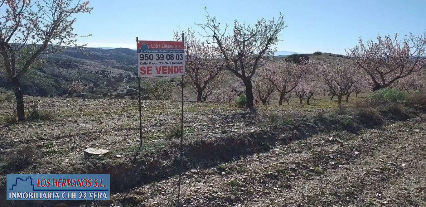 Finca rústica en venta en Vélez-Rubio
