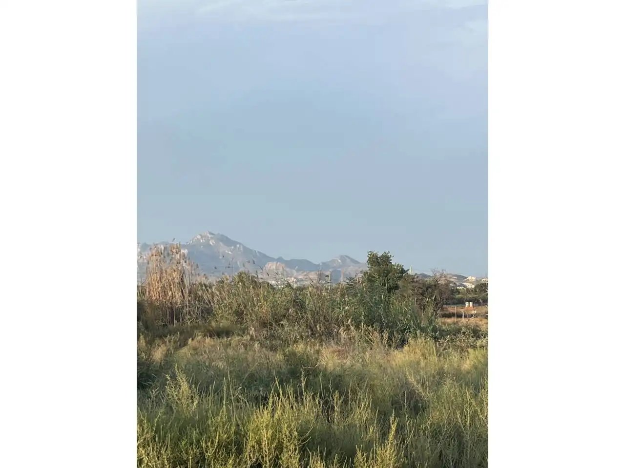 Finca rústica en venta en Mutxamel con Jardín privado