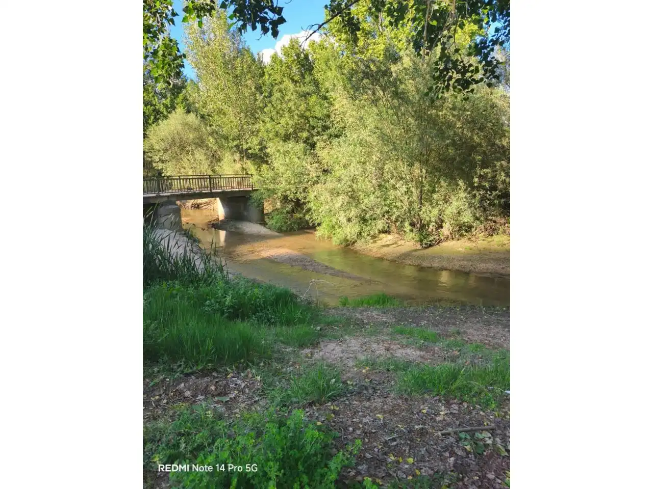 Chalet con piscina en venta en Escalona, imagen 51