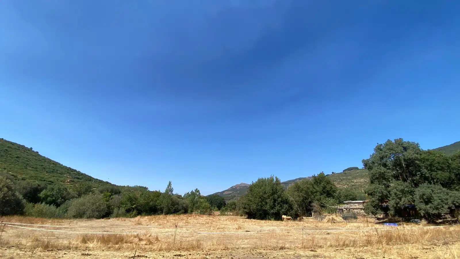 Rural land for sale in Calle el Roble 4, imagen 11