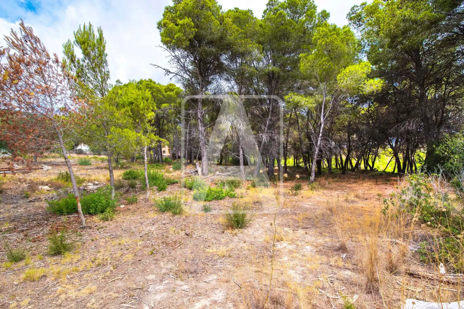 Detached house with pool for sale in Pinar del Advocat - Cometa, imagen 9
