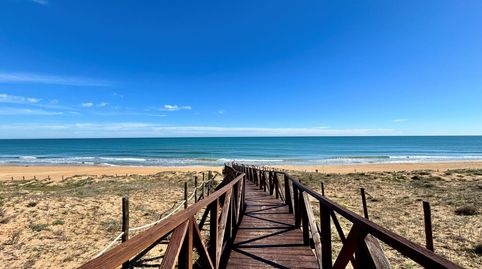 Foto 3 de Ático de alquiler en El Moncayo - El Pòrtic, Guardamar del Segura