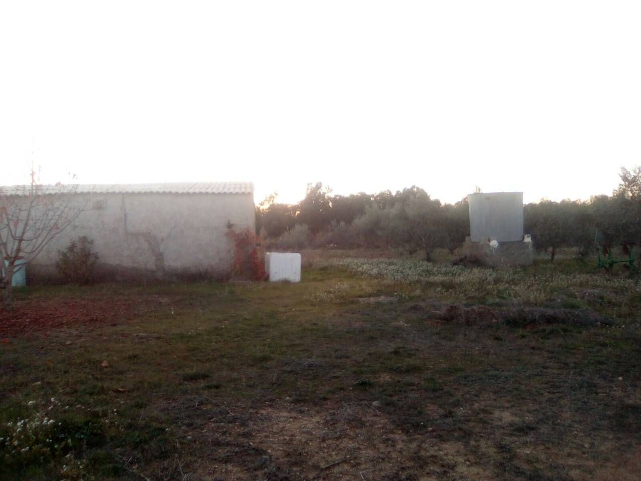 Land for sale in Lascellas-Ponzano