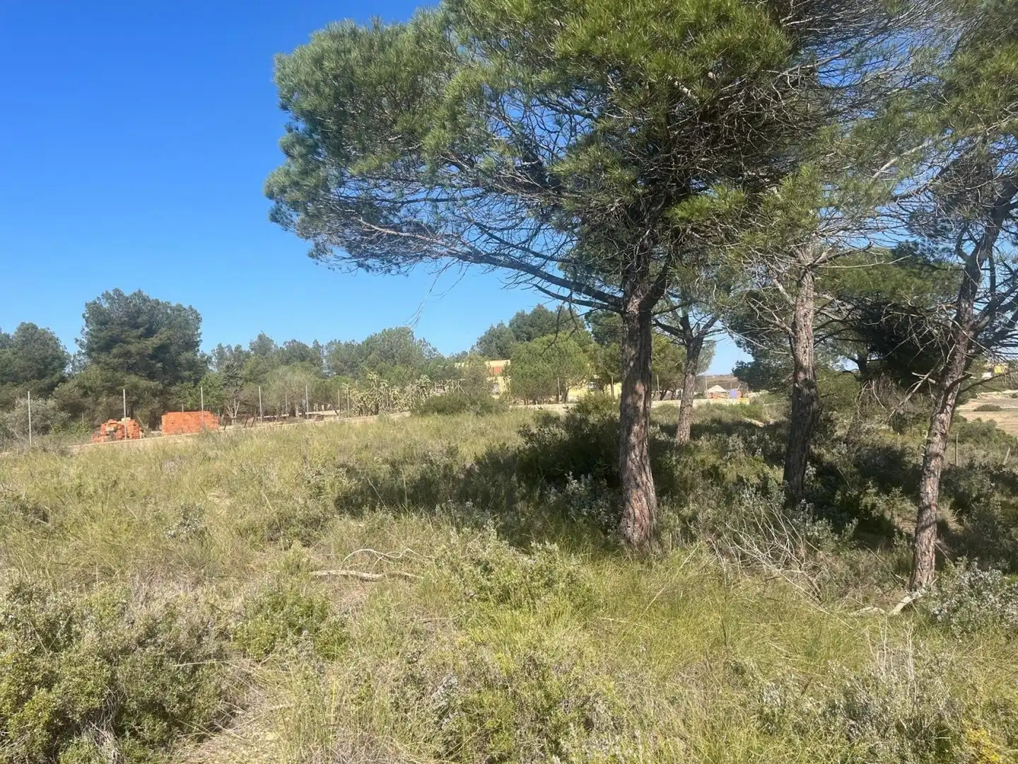 Terreni e lotti in vendita a Almansa, imagen 8