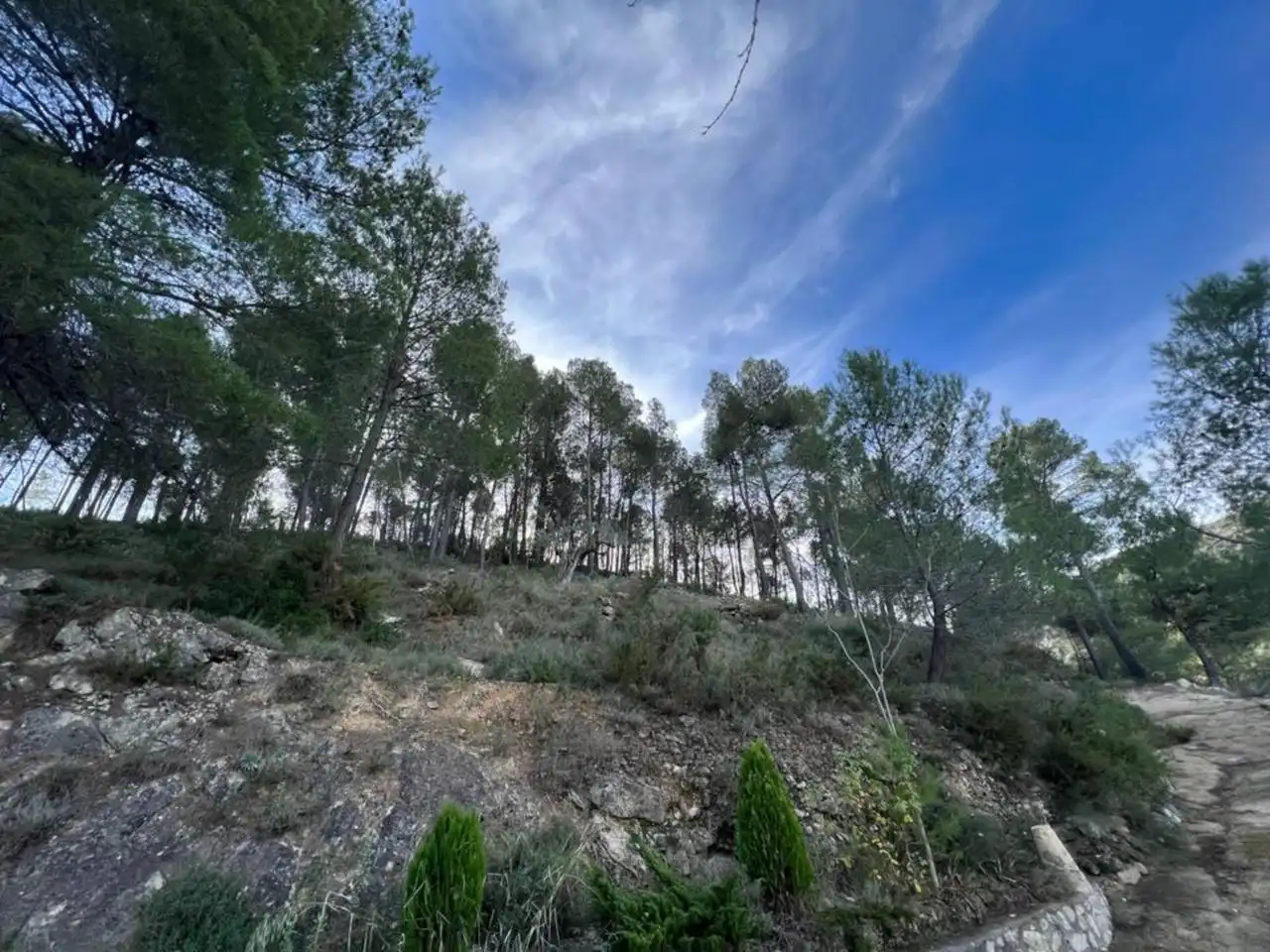 Villa avec jardin à vendre à Penàguila, imagen 27