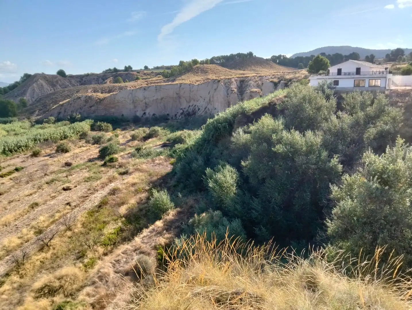 Lands and plots for sale in Mula, imagen 32