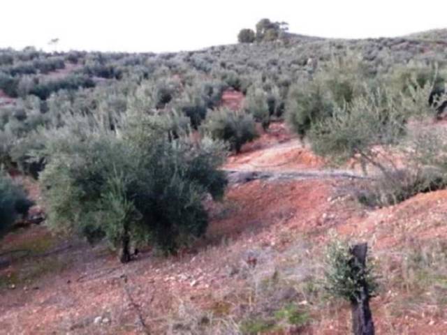 Terreno en Venta en N/A, -1 en Villanueva del Arzobispo