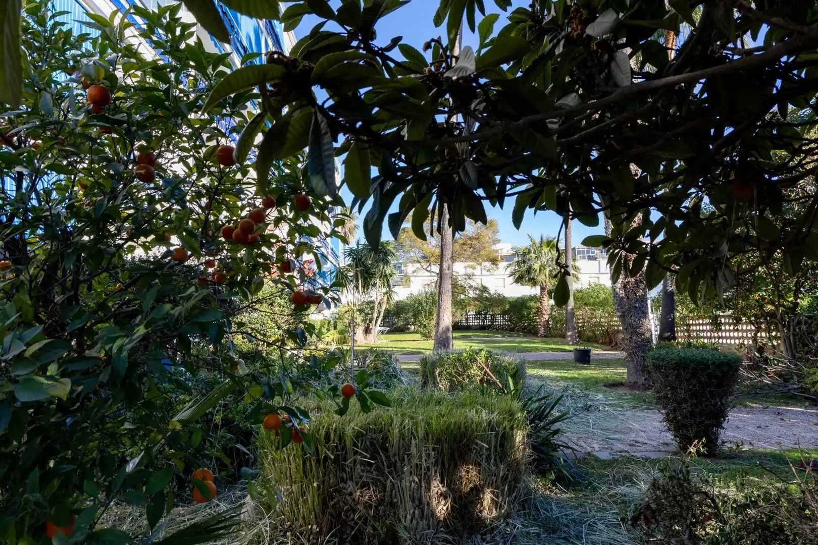 Jardín de Apartamento en venta en Torremolinos con Jardín privado, Terraza y Piscina comunitaria