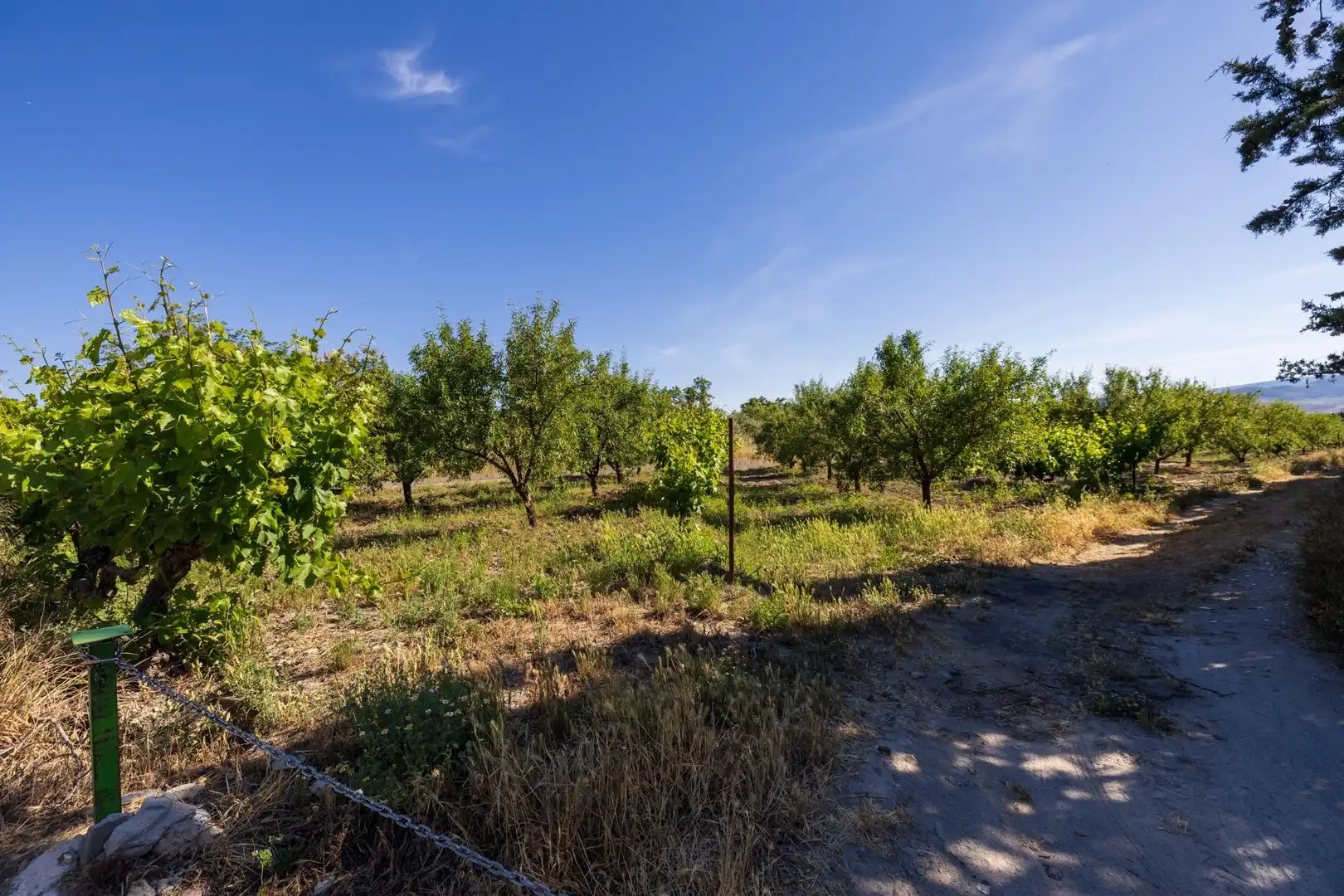 Rural land for sale in Dúrcal, imagen 4
