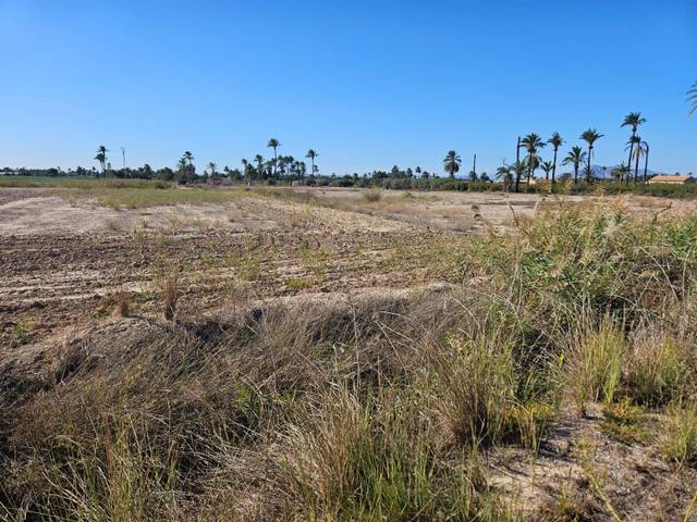 Terreno residencial en Venta en Algorós - El Derramador