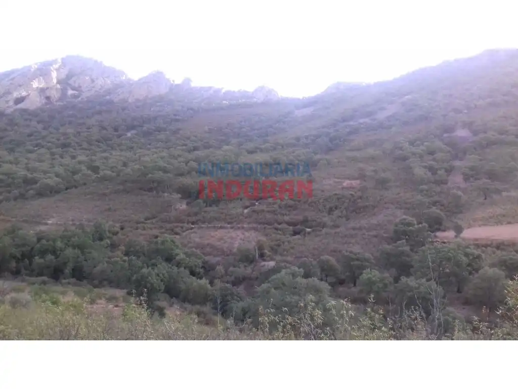Country house for sale in Castañar de Ibor, imagen 11