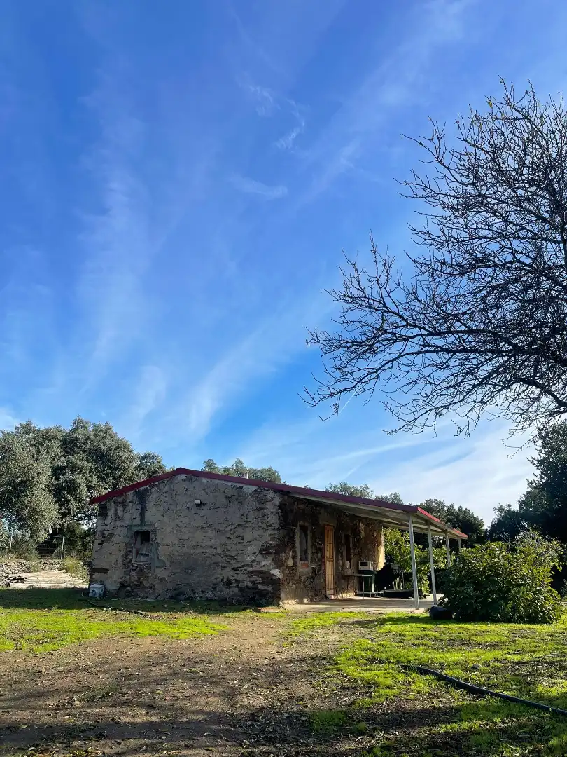 Vista exterior de Casa o chalet en venta en Plasencia con Jardín privado y Amueblado