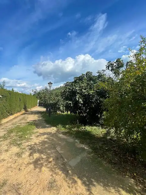 Finca rústica en venda a Castellet i la Gornal