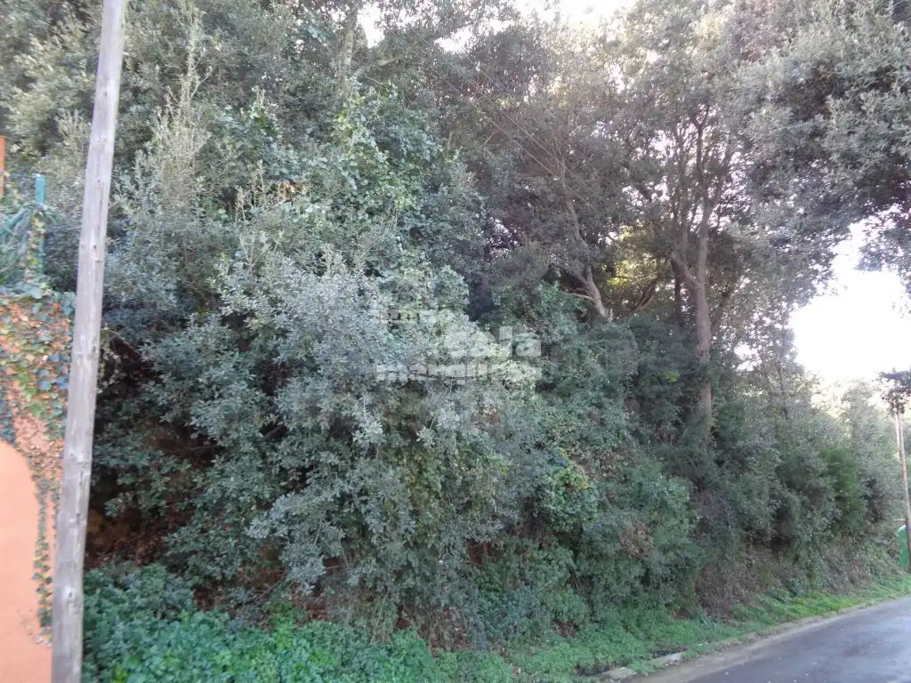 Terreny residencial en venda a Sa Riera - Sa Fontansa, imagen 5